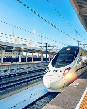 3297921236 青島順澤鑫機(jī)械設(shè)備有限公司